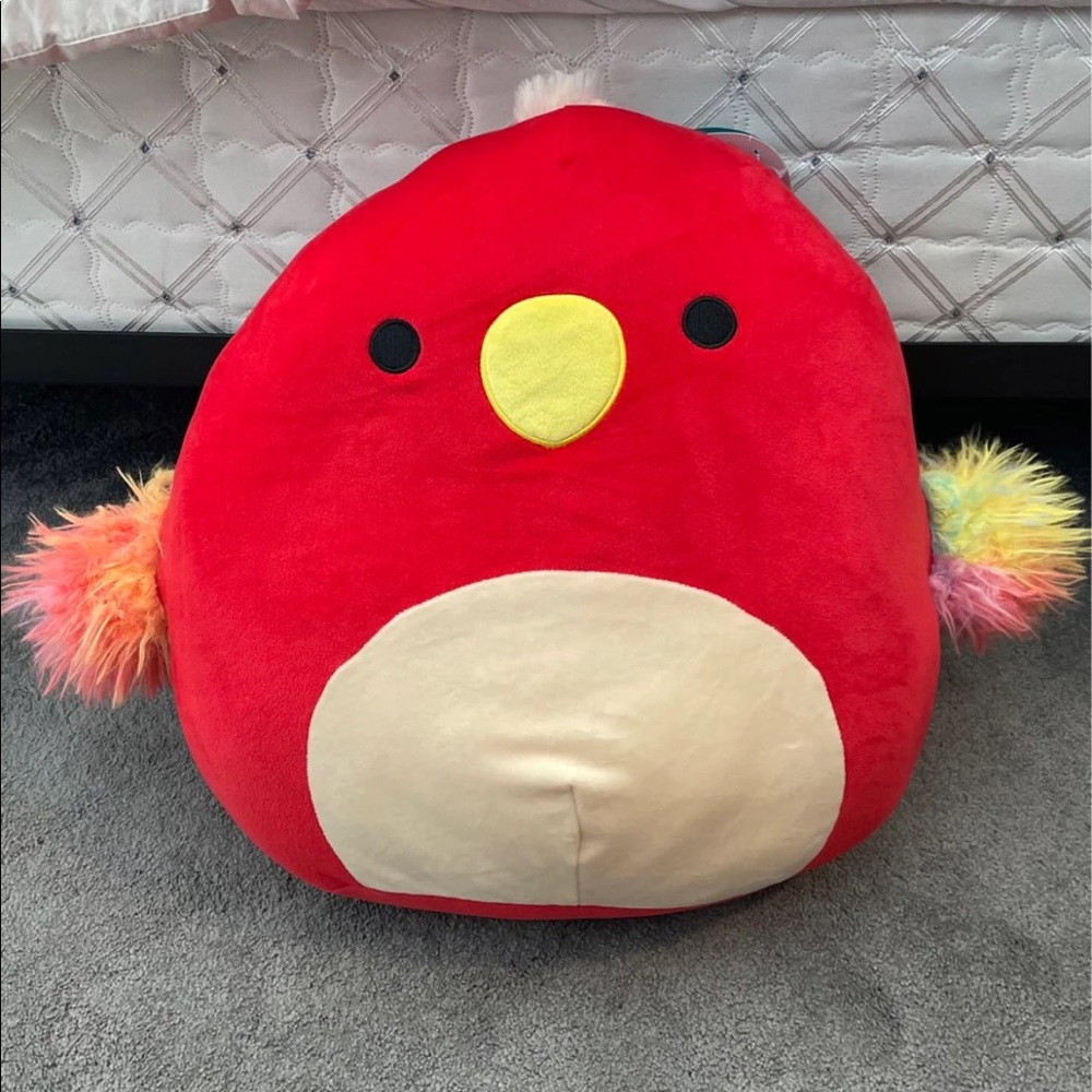 NWT Paco the Parrot Squishmallow